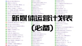 品牌營銷市場策劃推廣宣傳執行流程工作計劃方案模板